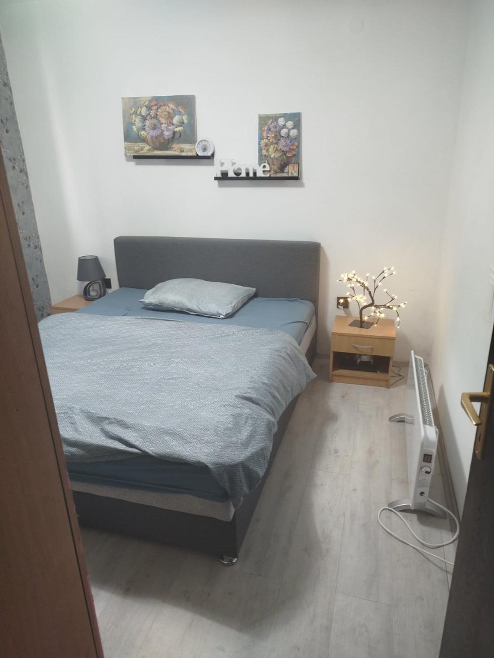 Slika 5 - Kragujevacka 19/1, Jednosoban stan za izdavanje, 30m2, 300€